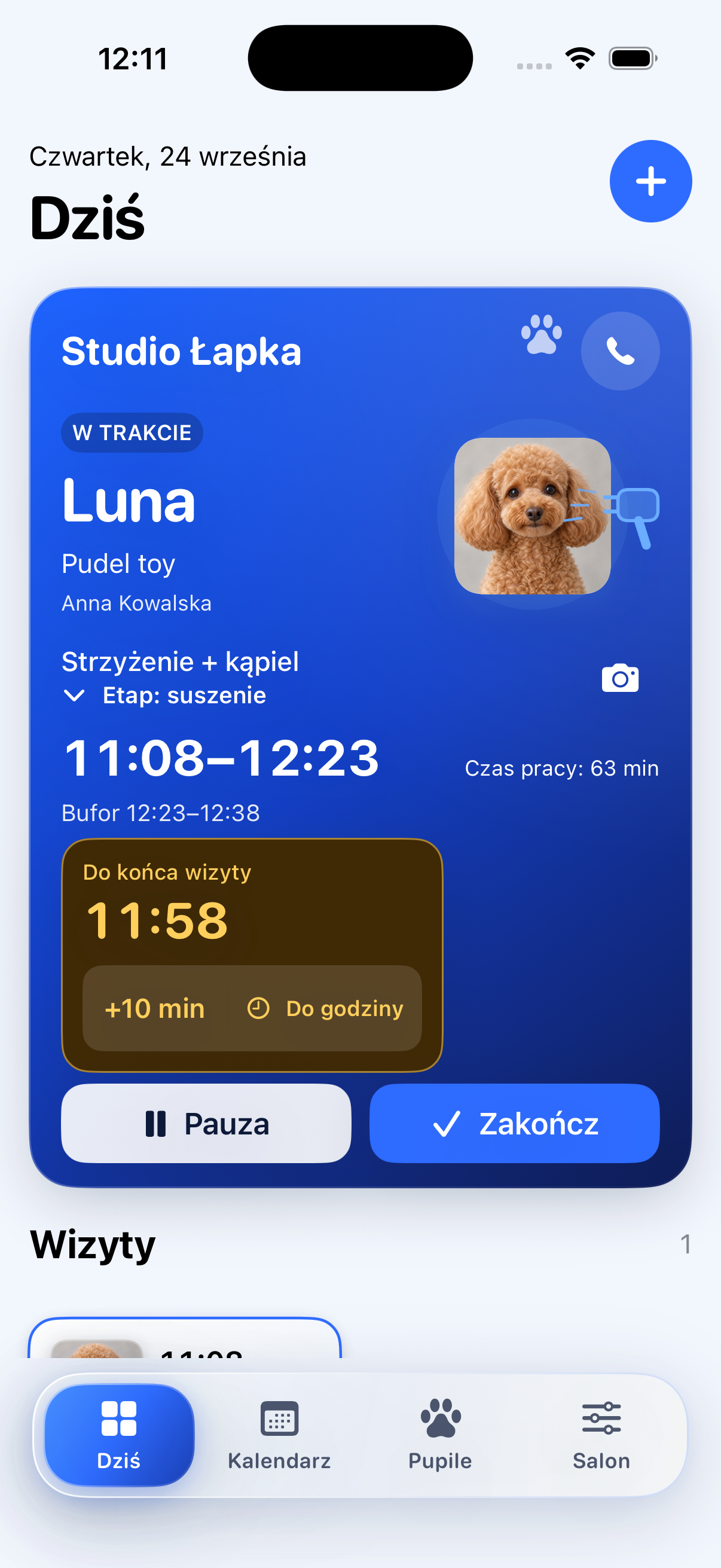 Natywny widok groomera: salon Studio Łapka, Luna — pudel toy, aktualna wizyta, telefon, czas i sterowanie zabiegiem